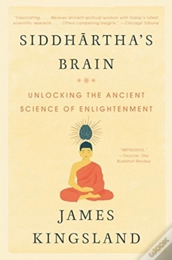 Capa do artigo Siddharthas Brain