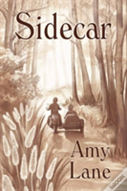 Capa do artigo Sidecar