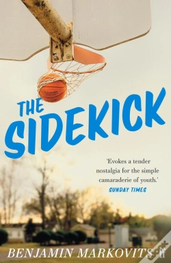 Capa do artigo Sidekick