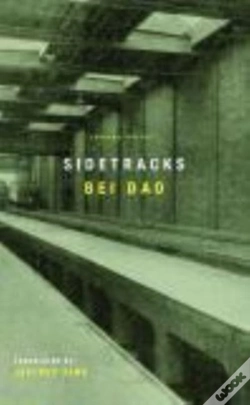 Capa do artigo Sidetracks