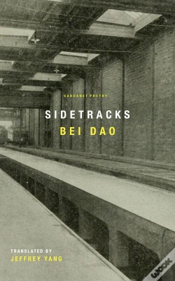 Capa do artigo Sidetracks