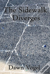 Capa do artigo Sidewalk Diverges