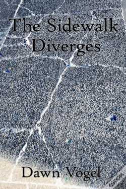Capa do artigo Sidewalk Diverges