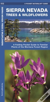 Capa do artigo Sierra Nevada Trees & Wildflowers