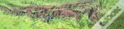 Capa do artigo Sierra Y Cañones De Guara - Mapa Panoramico