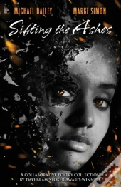 Sifting The Ashes