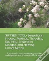 Siftsem Tool- Sensations, Images, Feelings, Thoughts, Soothing, Endorphin Release, And Meeting Unmet Needs.