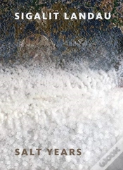 Capa do artigo Sigalit Landau: Salt Years