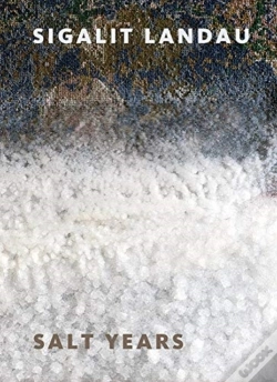 Capa do artigo Sigalit Landau: Salt Years