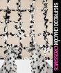 Sigfredo Chacon: Crossing - Preview