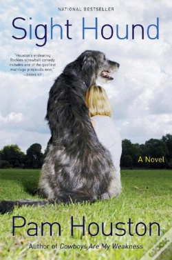 Capa do artigo Sight Hound