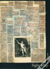 Capa do artigo Sight Map