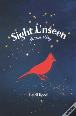 Capa do artigo Sight Unseen