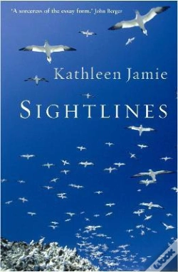 Capa do artigo Sightlines