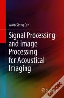 Signal Processing And Image Processing For Acoustical Imaging