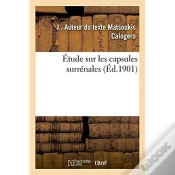 Capa do artigo Signes Du Zodiaque