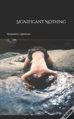 Capa do artigo Significant Nothing