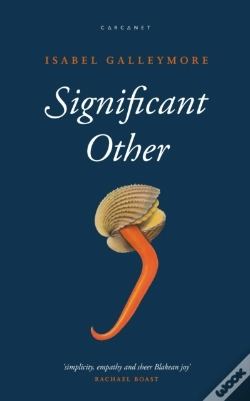 Capa do artigo Significant Other