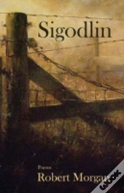 Capa do artigo Sigodlin
