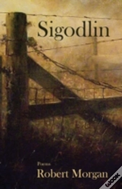 Capa do artigo Sigodlin