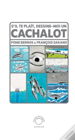 Capa do artigo S'Il Te Plaît, Dessine-Moi Un Cachalot