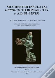 Silchester Insula Ix