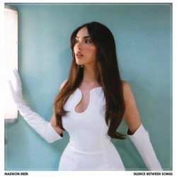 Capa do artigo Silence Between Songs - Vinil