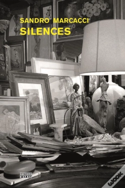 Capa do artigo Silences