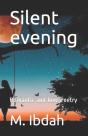 Silent Evening - Preview