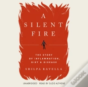 Capa do artigo Silent Fire