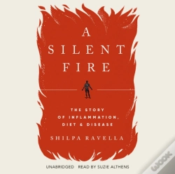 Capa do artigo Silent Fire