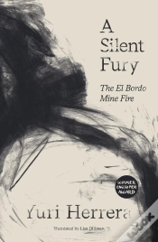 Capa do artigo Silent Fury