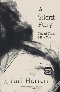 Capa do artigo Silent Fury