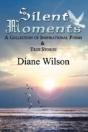 Silent Moments - Preview