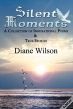 Capa do artigo Silent Moments