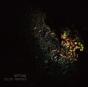 Silent Partner - CD - Preview