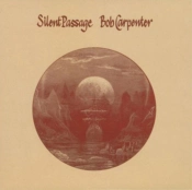 Capa do artigo Silent Passage - Vinil
