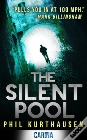 Capa do artigo Silent Pool