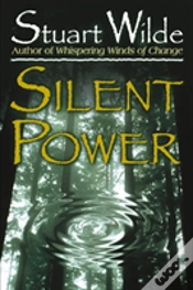 Capa do artigo Silent Power