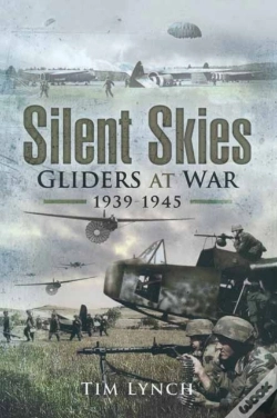Capa do artigo Silent Skies