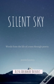 Capa do artigo Silent Sky