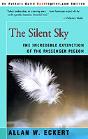 Silent Sky - Preview