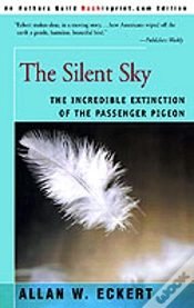 Capa do artigo Silent Sky