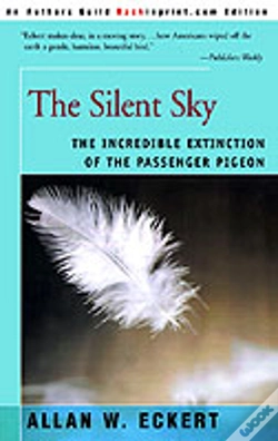 Capa do artigo Silent Sky