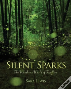 Capa do artigo Silent Sparks