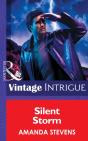 Silent Storm - Preview