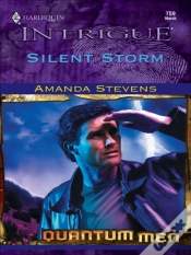 Capa do artigo Silent Storm