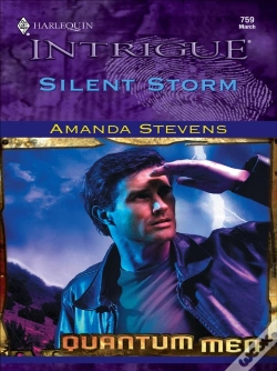 Capa do artigo Silent Storm