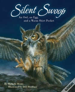 Capa do artigo Silent Swoop