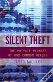 Capa do artigo Silent Theft